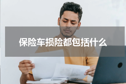 保险车损险都包括什么