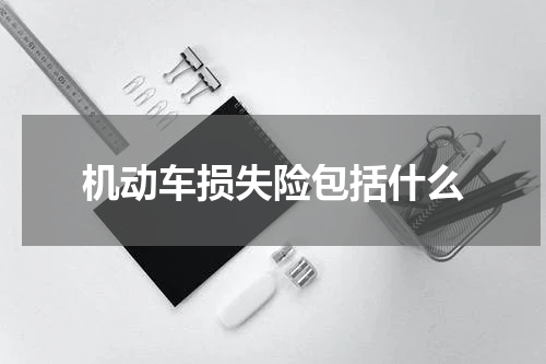 机动车损失险包括什么