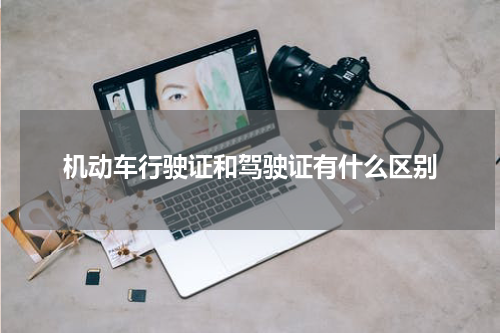 机动车行驶证和驾驶证有什么区别
