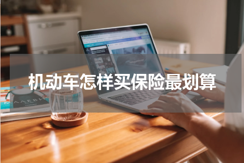 机动车怎样买保险最划算