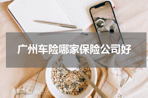 广州车险哪家保险公司好