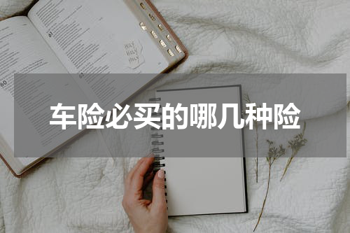 车险必买的哪几种险