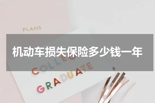 机动车损失保险多少钱一年