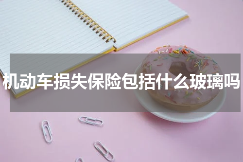 机动车损失保险包括什么玻璃吗