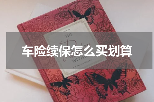 车险续保怎么买划算