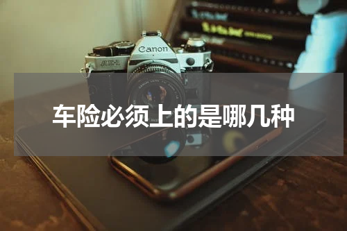 车险必须上的是哪几种