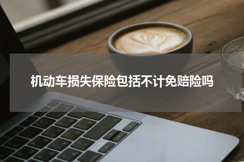 机动车损失保险包括不计免赔险吗