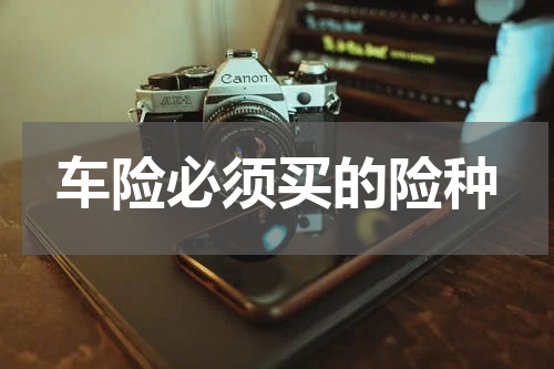 车险必须买的险种