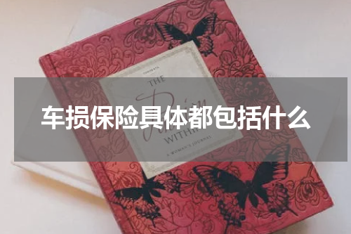 车损保险具体都包括什么