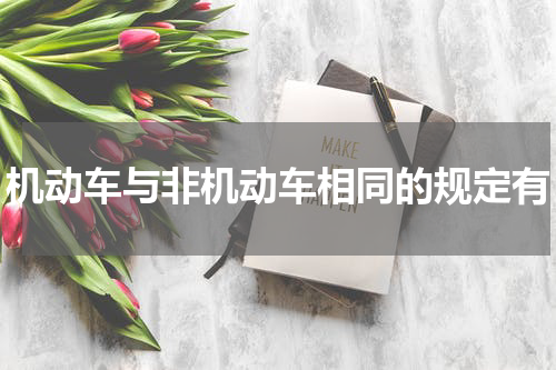机动车与非机动车相同的规定有
