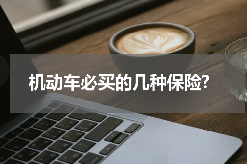 机动车必买的几种保险?