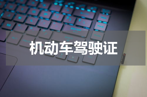 机动车驾驶证