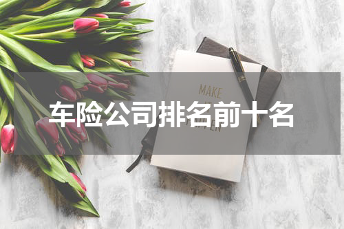 车险公司排名前十名