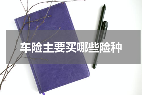 车险主要买哪些险种