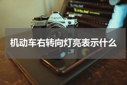 机动车右转向灯亮表示什么