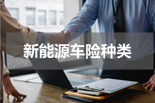 新能源车险种类