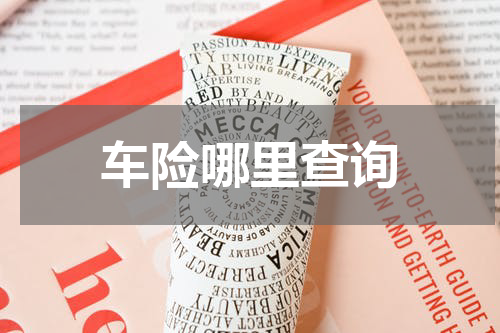 车险哪里查询