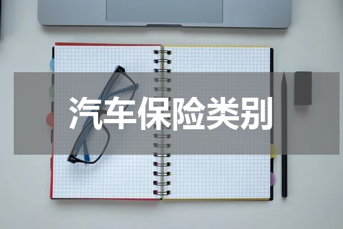 汽车保险类别