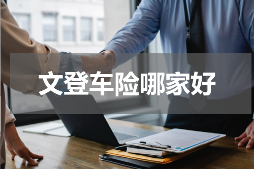文登车险哪家好