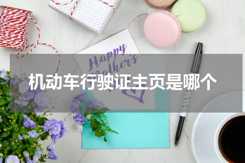 机动车行驶证主页是哪个