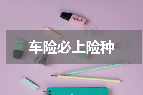 车险必上险种