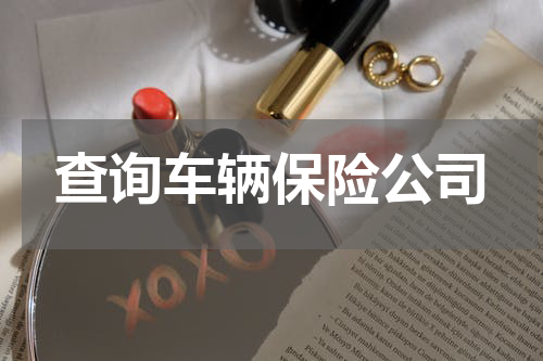 查询车辆保险公司