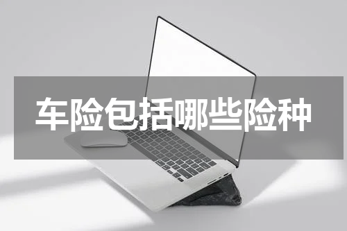 车险包括哪些险种
