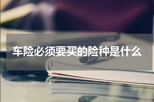 车险必须要买的险种是什么