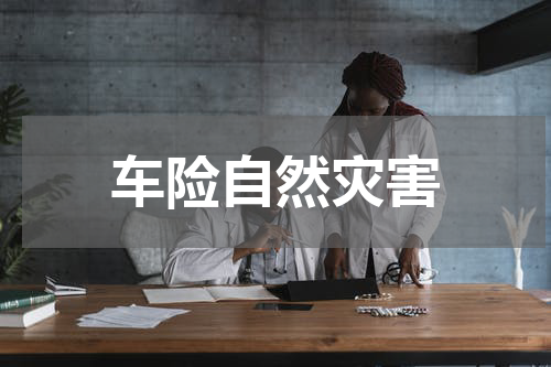 车险自然灾害
