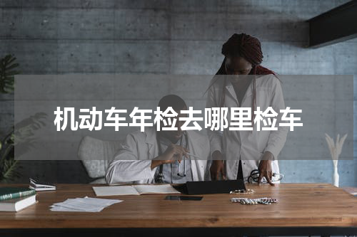 机动车年检去哪里检车