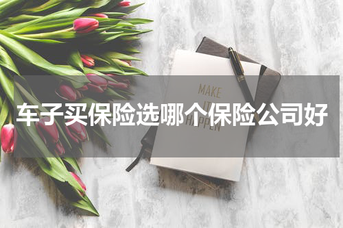 车子买保险选哪个保险公司好
