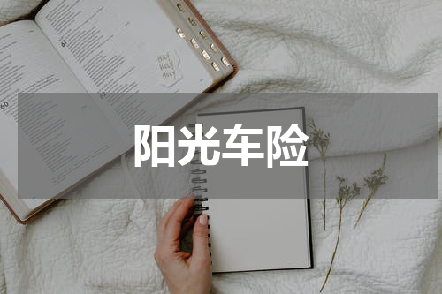 阳光车险