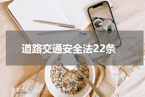 道路交通安全法22条