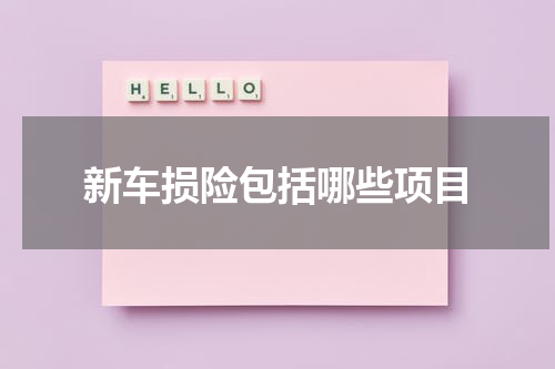 新车损险包括哪些项目