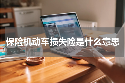 保险机动车损失险是什么意思