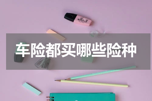 车险都买哪些险种