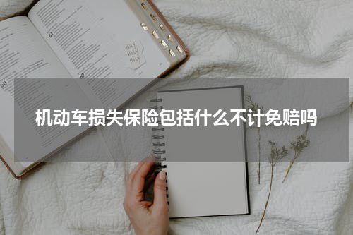 机动车损失保险包括什么不计免赔吗