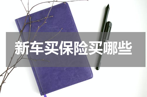 新车买保险买哪些