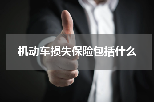 机动车损失保险包括什么