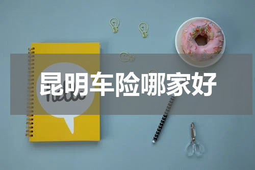昆明车险哪家好