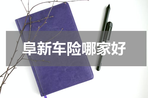 阜新车险哪家好