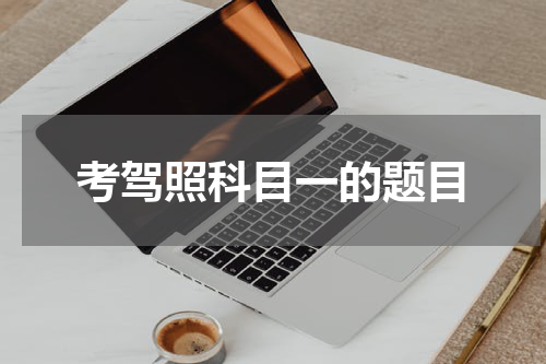 考驾照科目一的题目