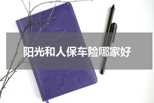 阳光和人保车险哪家好