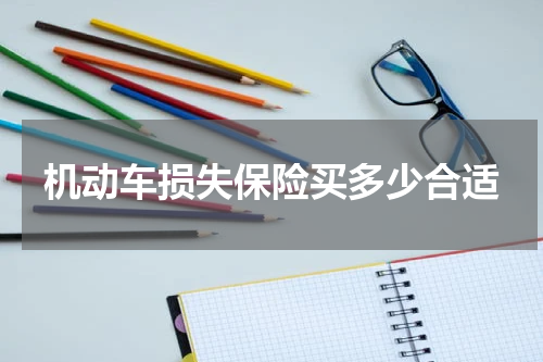 机动车损失保险买多少合适