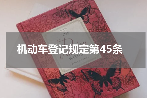 机动车登记规定第45条