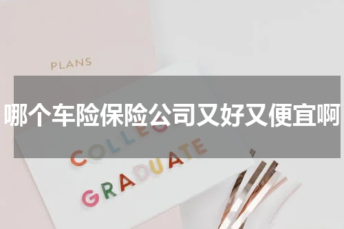 哪个车险保险公司又好又便宜啊