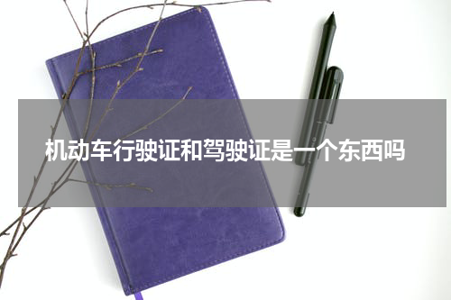 机动车行驶证和驾驶证是一个东西吗