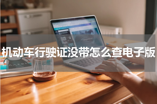 机动车行驶证没带怎么查电子版