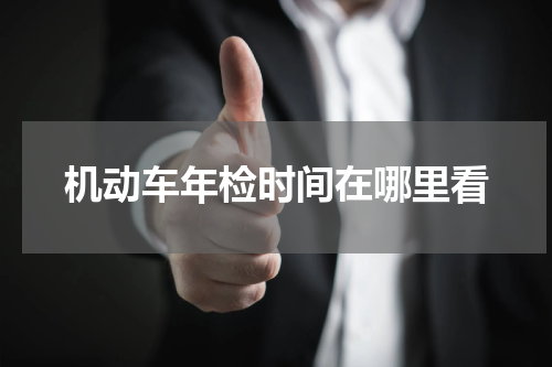 机动车年检时间在哪里看