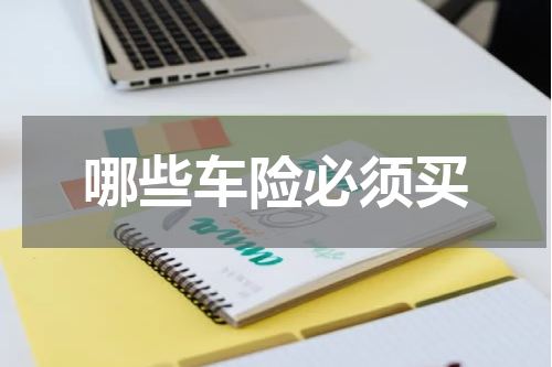 哪些车险必须买